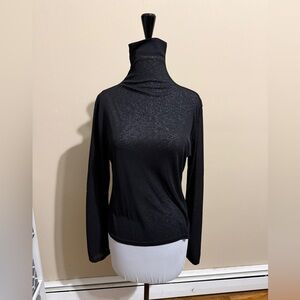 Sheer turtleneck, new no tags.